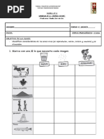 Guía de Trabajo Caracterìsticas de Los Seres Vivos