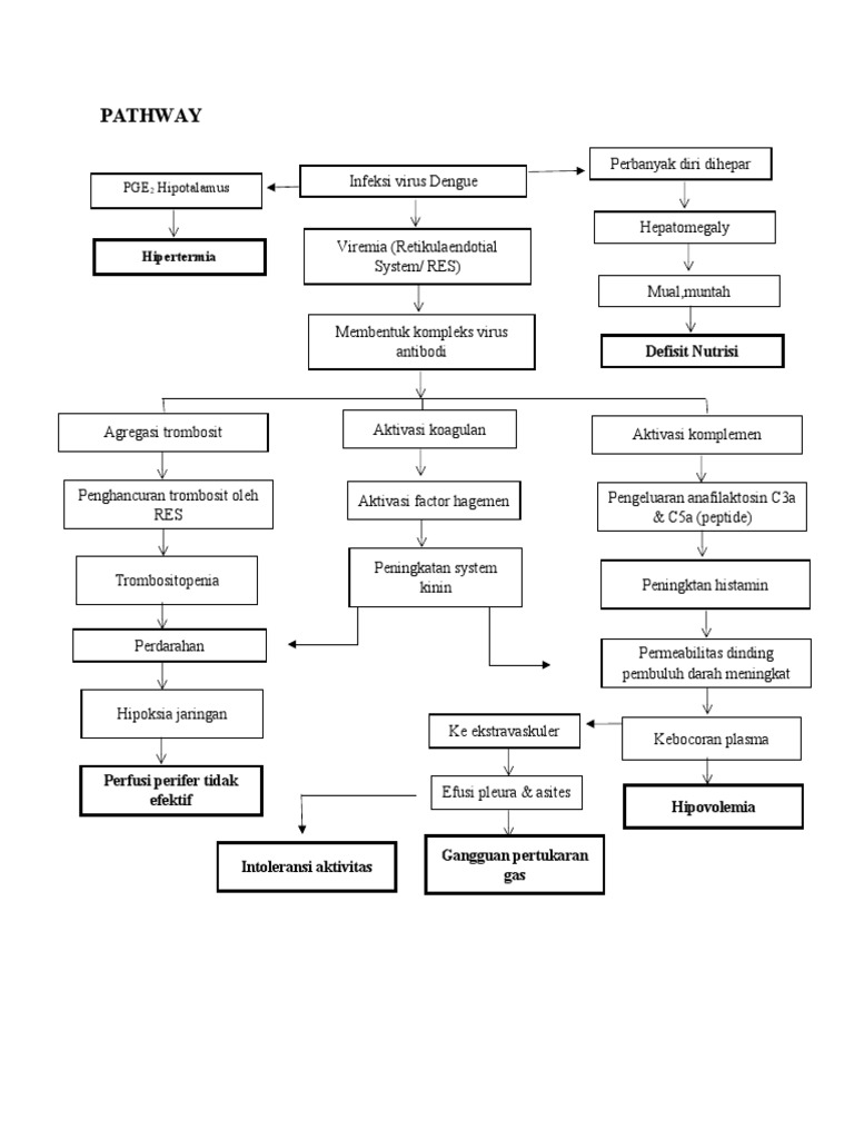 Pathway Penyakit DSS pada Anak | PDF
