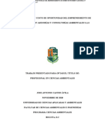 Plan de Negocio y Costo de Oportunidad Del Emprendimiento de Green Investment Asesorías y Consult PDF