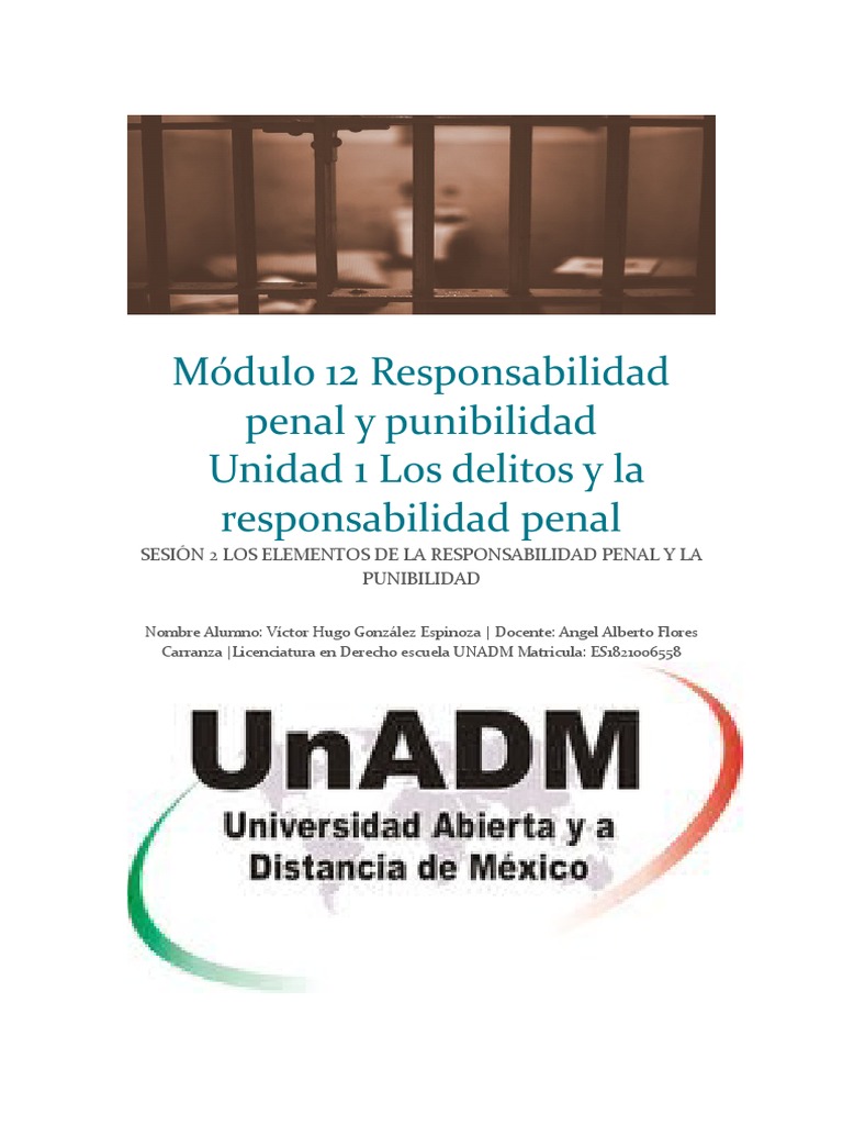 Módulo 12 Responsabilidad Penal y Punibilidad Unidad 1 Los Delitos y La ...