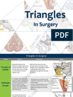 Triangles in Surgery