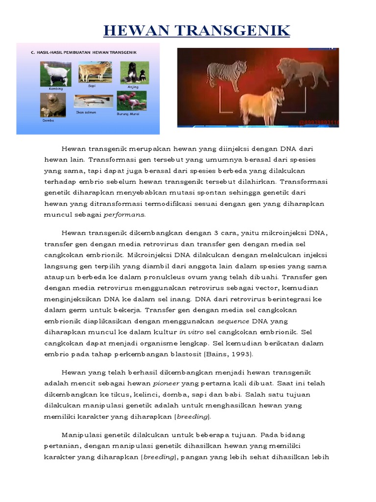Pengembangan Hewan Transgenik dan Contohnya | PDF