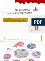 Asuhan Keperawatan Pada Pasien Dengan Anemia: Created by Denni Fransiska, S.KP., M.Kep