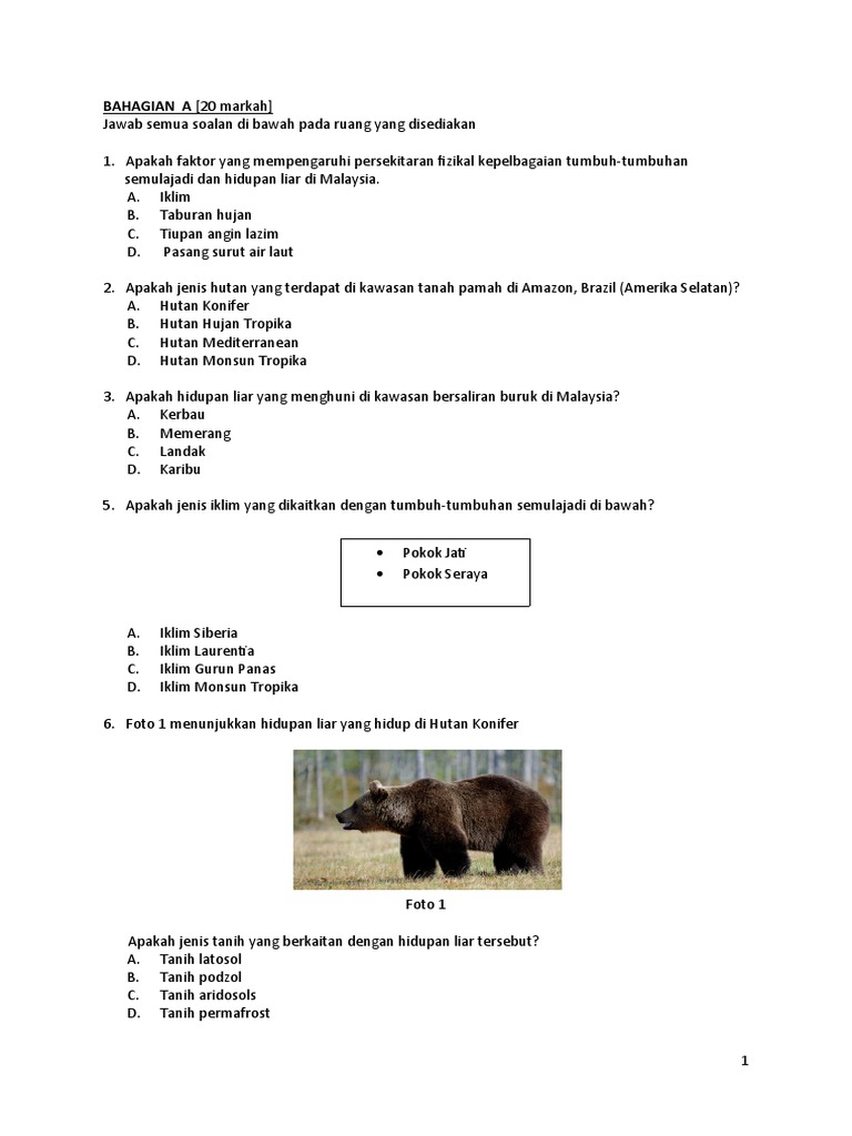 Set 1 Ppt 2020 T3 Pdf