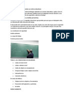 Cursos2 PDF