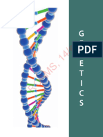 DNA and nucleic acids overview