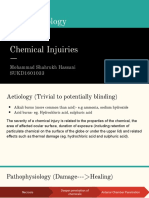 Chemical Injuries - Shahrukh SUKD1601033