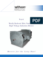 Totally Enclosed Tube Ventilated High Voltage Induction Motors