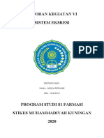 Laporan Sistem Ekskresi - Milda Purnami - 1948201021