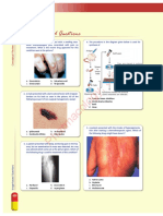 AntiCancer Drugs MCQs