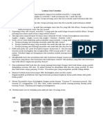 Soal Latihan Genetika Praktikum