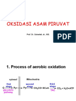 Oksidasi Asam Piruvat: Prof. Dr. Suhartati, DR., MS
