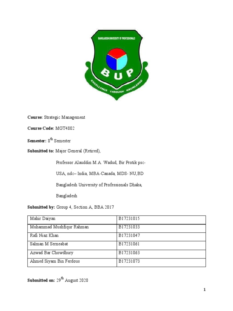 Strategic Management Business Model Report | PDF | Pricing | Marketing