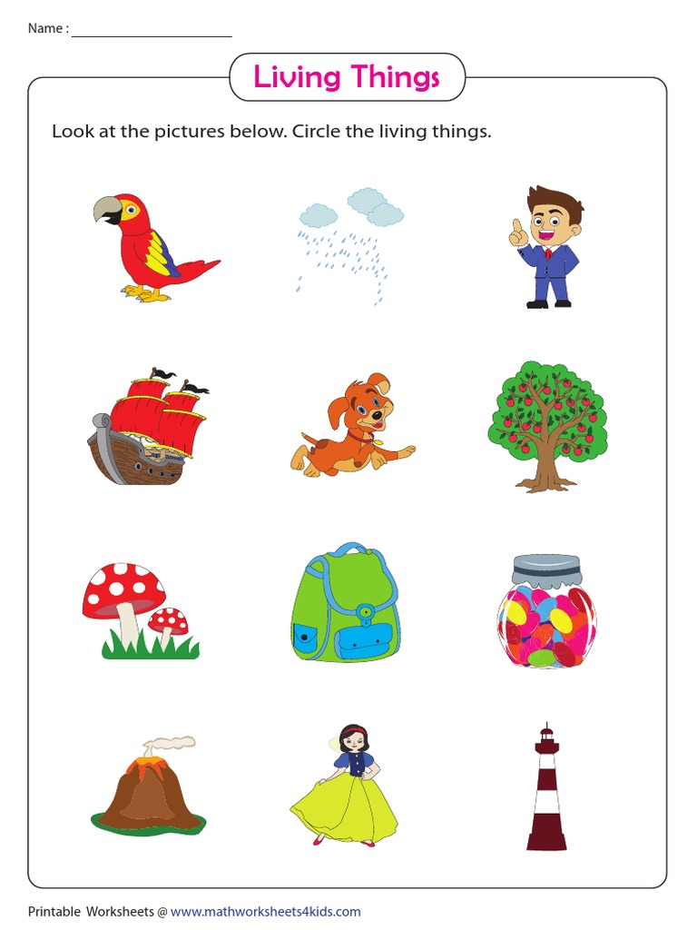 Circle Living Things Pdf Pdf