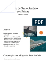 Sermão de Santo António, Cap. III_Rémora.pptx