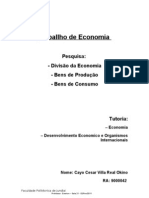 Divisão Economia Bens Produção Consumo