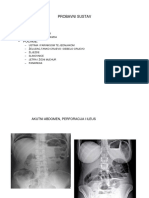 Probavni Sustav - v1 PDF