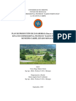 Proyecto Zanahorias PDF