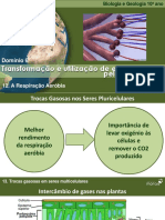 BioLOGIATrocasGasosasMulticelulares.pdf