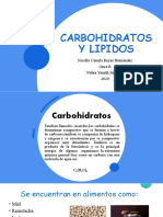 Carbohidratos y Lipidos