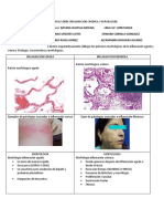 Evidencia Bases de Patologia Ucc Inflamacion Cronica y Reparacion