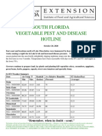 South Florida Vegetable Pest and Disease Hotline for October 20, 2020