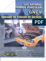 Operador Estacion Servicio GNCV PDF