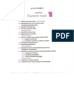 VIII.1 Numere Reale PDF