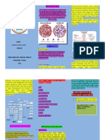 Leaflet Leukimia Rosaa