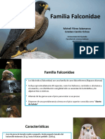 expo ornitologia.pptx