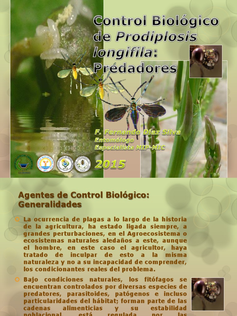 Depredadores | PDF | Control biológico de plagas | Insectos