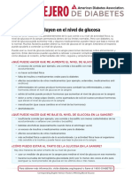 Factors Affecting Blood Glucose - Spanish