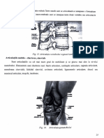 Anatomie 1 PDF
