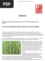 9 ervas medicinais para manter em seu jardim – Saracura