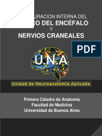Configuración interna del tronco del encéfalo y nervios craneales