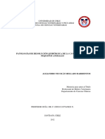 Patologías de Resolución Quirúrgica de La Cavidad Oral de Pequeños Animales PDF