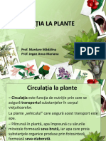 Ciculatia la plante cl6.pptx