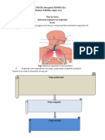 Fișa de lucru-Sistemul respirator și respirația la om.pdf