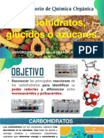 Teoría de Carbohidratos y glucidos aun no desarrollado