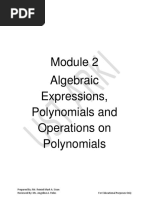 Algebraic Expressions, Polynomials and Operations On Polynomials