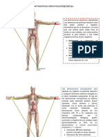 Derivaciones Electrocardiográficas