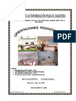 Orientaciones Pedagogicas Primaria PDF