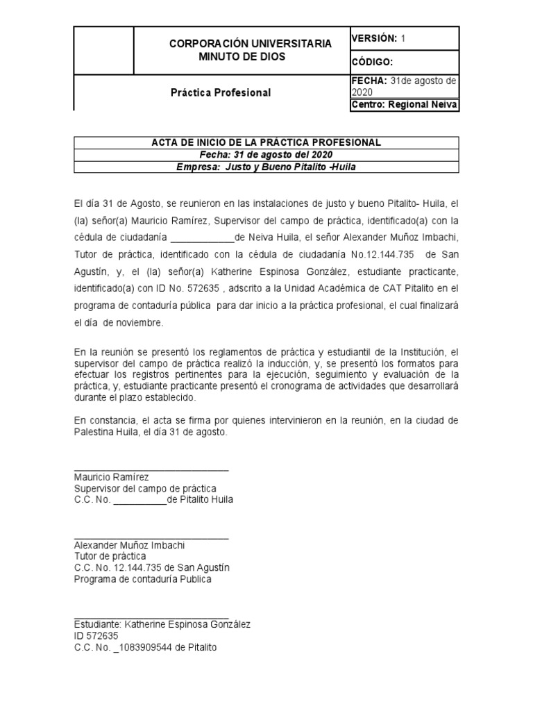 Acta de Inicio de Práctica Profesional | PDF | Contabilidad | Business