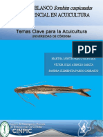 Prieto et al. 2015. El bagre blanco Sorubim cuspicaudus y su potencial en acuicultura.pdf