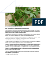 10 Benefits of Purslane