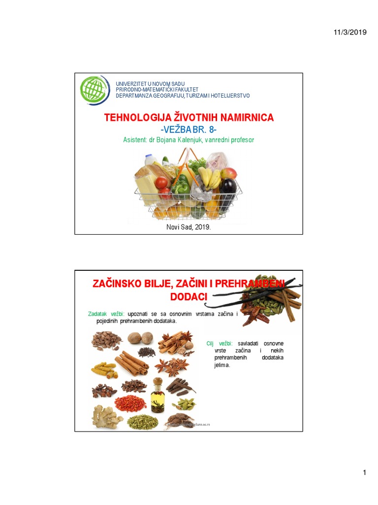 Zacini PDF | PDF