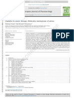 Cisplatin's Molecular Mechanisms in Cancer Therapy