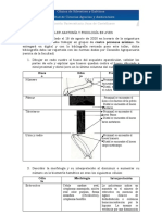 1TALLER ANATOMÍA Y FISIOLOGÍA EN AVES Arley Cepeda Silvestres