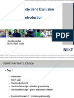 Cased Hole Sand Exclusion Techniques PDF