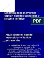 Dinámica de La Membrana Capilar, Líquidos Corporales y Sistema Linfático.